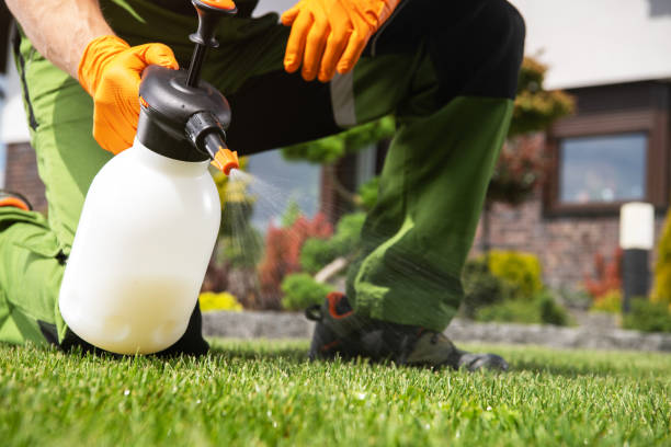 Best Affordable Pest Control Services  in Riverwoods, IL