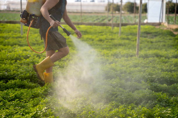 Best Pest Removal Services  in Riverwoods, IL