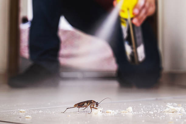 Best Cockroach Control Services  in Riverwoods, IL