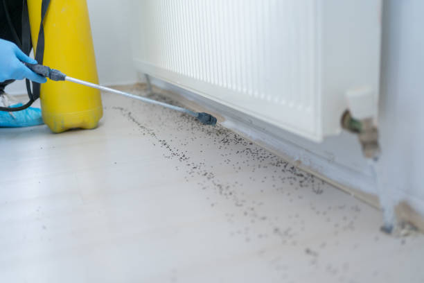 Best Ant Control Services  in Riverwoods, IL
