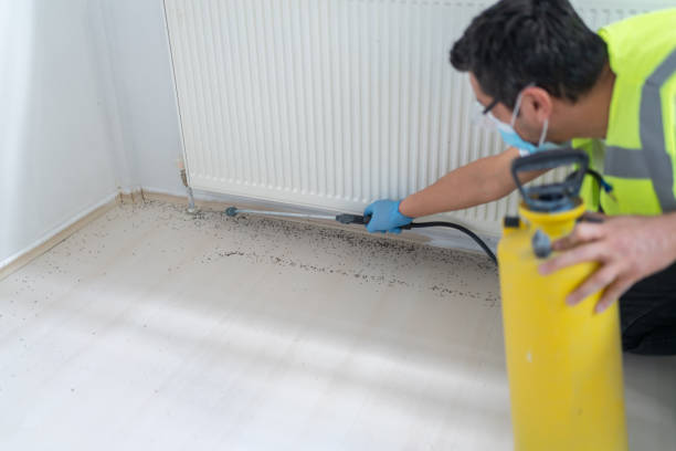 Flea Control Services in Riverwoods, IL